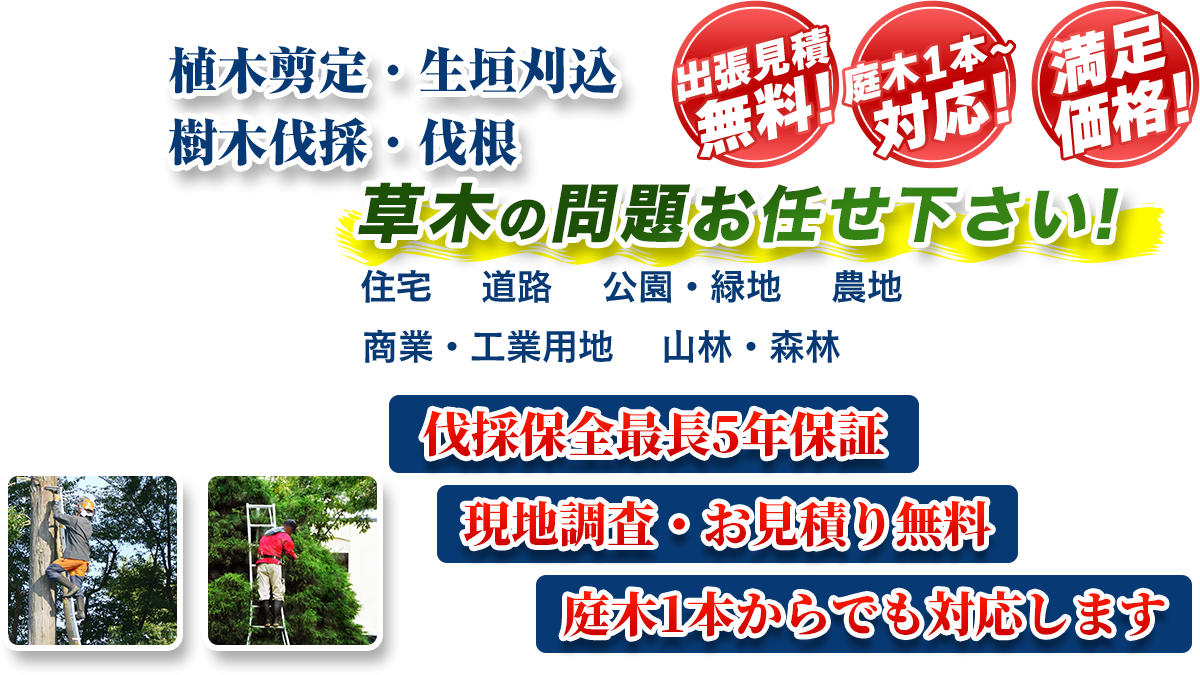 下妻市エリア即対応!! 出張無料! 庭木1本~対応! 満足価格! 植木剪定・生垣刈込 樹木伐採・伐根 草木の問題お任せ下さい! 住宅 道路 公園・緑地 農地 商業・工業用他 山林・森林 伐採保全最長5年保証 現地調査・お見積り無料 庭木1本からでも対応します